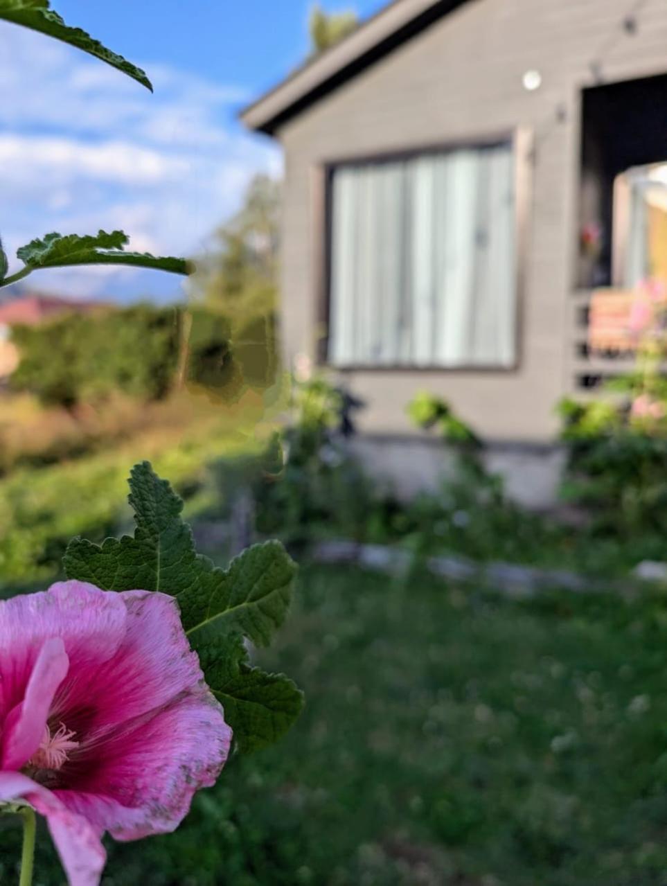 Cottage Kazbegi Sioni Ngoại thất bức ảnh